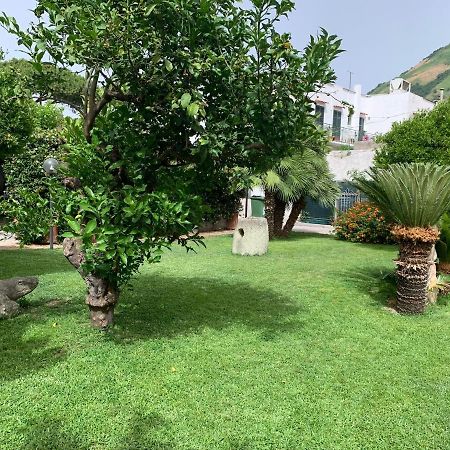 Garden Apartments Ischia Bilocale Super Centrale Forio di Ischia Екстериор снимка
