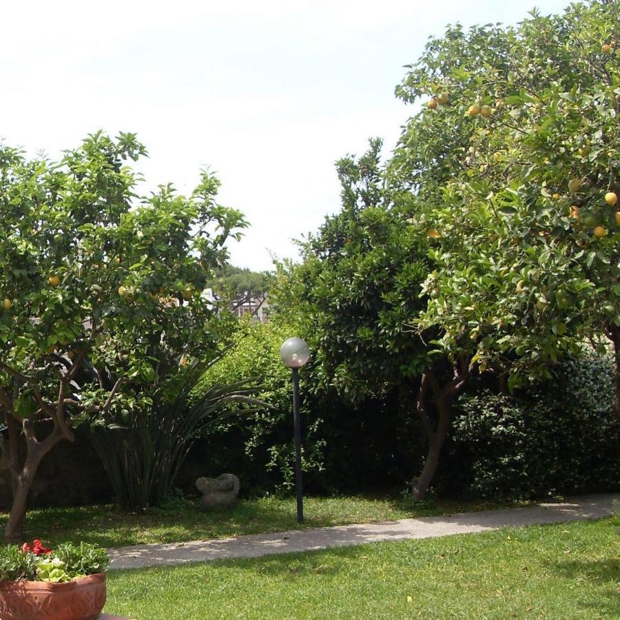 Garden Apartments Ischia Bilocale Super Centrale Forio di Ischia Екстериор снимка